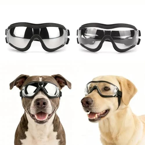 NAMSAN Clear Dog Goggles for Medium to Large Dogs | UV Protection, Windproof, Adjustable Elastic Straps (2-Pair Pack) thumbnail 1