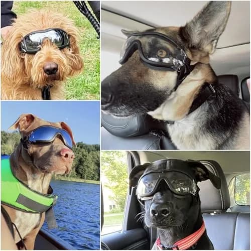 NAMSAN Clear Dog Goggles for Medium to Large Dogs | UV Protection, Windproof, Adjustable Elastic Straps (2-Pair Pack) thumbnail 2