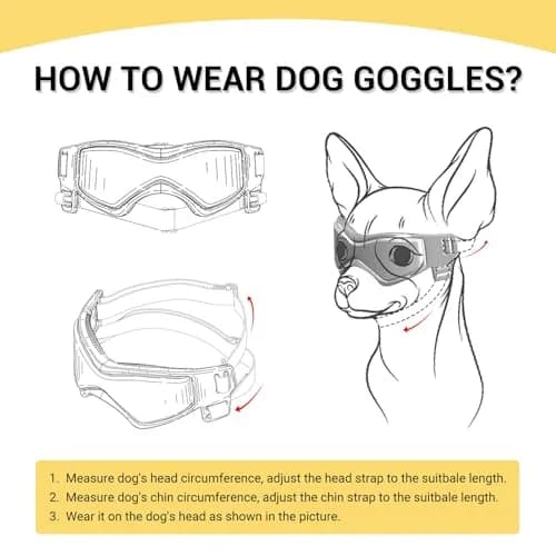 PETLESO Pink Dog Goggles for Medium Breeds | UV Protection, Windproof, Anti-Fog thumbnail 6