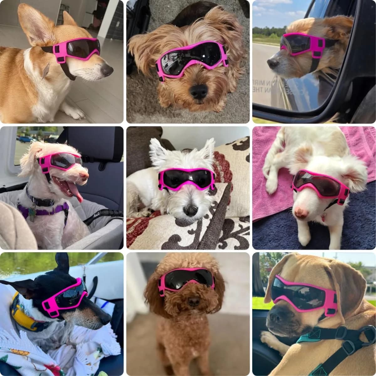 PETLESO Pink Medium Dog Goggles: UV Protection & Anti-Fog Eyewear for Small to Medium Breeds - view 2