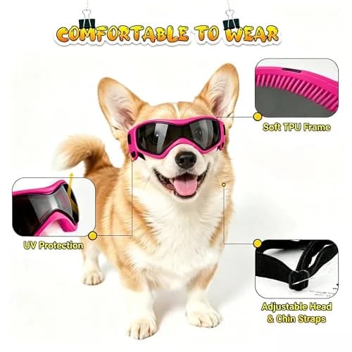 PETLESO Pink Dog Goggles for Medium Breeds | UV Protection, Windproof, Anti-Fog thumbnail 3