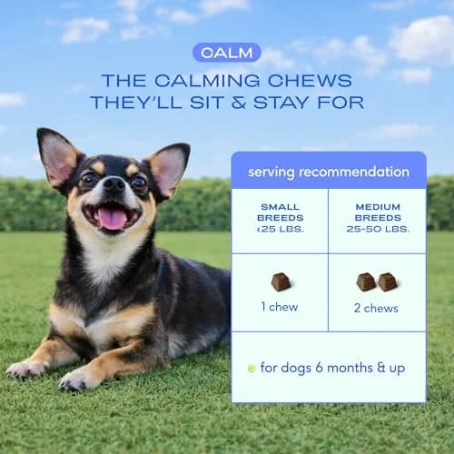 Native Pet Calming Chews for Dogs - Hemp Seed, Melatonin, L-Theanine & Casein - Air-Dried 30 Chews | Supports Emotional Balance & Reduces Hyperactivity thumbnail 7