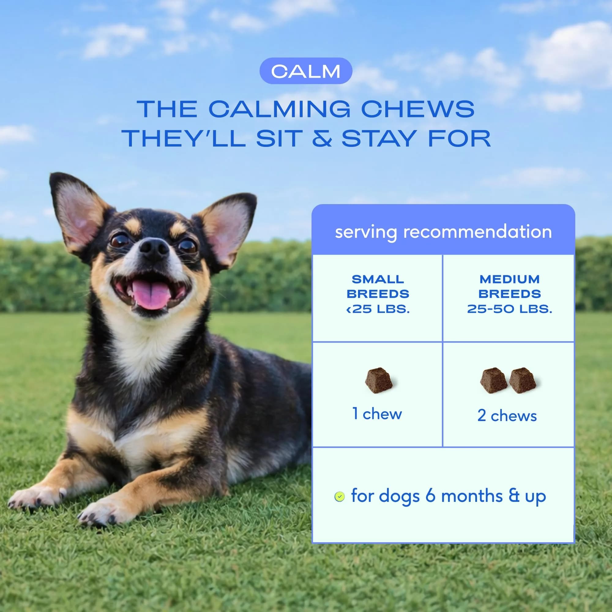 Native Pet Calming Chews for Dogs - Hemp Seed, Melatonin, L-Theanine & Casein - Air-Dried 30 Chews | Supports Emotional Balance & Reduces Hyperactivity - view 7