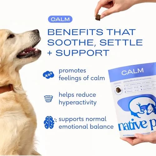 Native Pet Calming Chews for Dogs - Hemp Seed, Melatonin, L-Theanine & Casein - Air-Dried 30 Chews | Supports Emotional Balance & Reduces Hyperactivity thumbnail 2