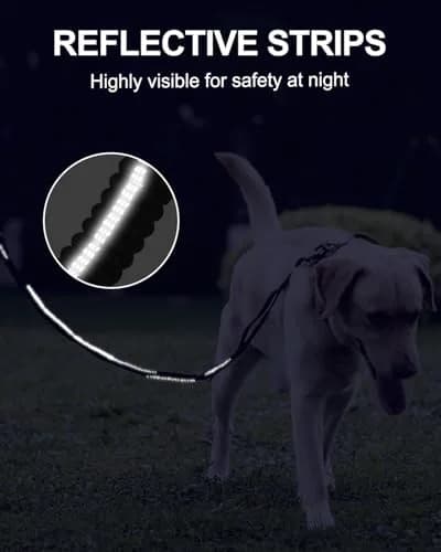 Joytale Tactical Dog Leash 6 ft | Shock Absorbing No Pull, Black, Heavy Duty, Large Dogs thumbnail 6
