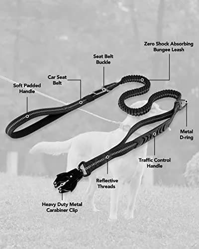 Joytale Tactical Dog Leash 6 ft | Shock Absorbing No Pull, Black, Heavy Duty, Large Dogs thumbnail 7