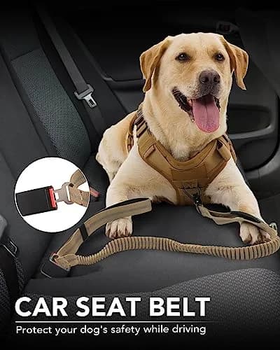 Joytale Tactical Bungee Dog Leash 4FT-6FT | Shock Absorbing No Pull, Coyote Brown thumbnail 5