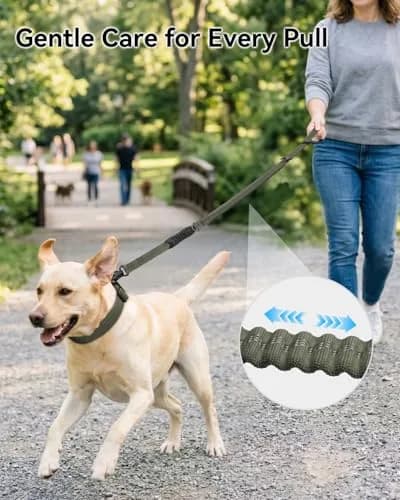 Joytale Tactical Bungee Dog Leash, Shock Absorbing No Pull, Army Green | Heavy Duty Control for Large Dogs thumbnail 3