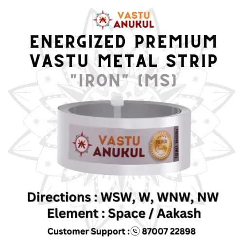 VASTU ANUKUL Premium Vastu Remedy Metal Strips (Iron - MS) 25mm (1 inch) x 10.2 Feet | Vastu Correction for Entrances and Toilets thumbnail 3