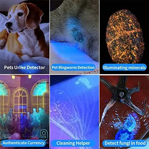 YZYOE 365nm UV Black Light Flashlight 12.5cm (4.92in) | Powerful Rechargeable Detection Lamp thumbnail 2