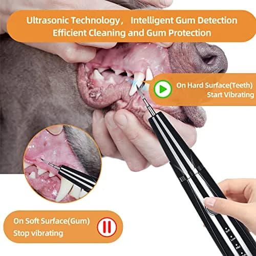 PAWSION Ultrasonic Pet Tooth Cleaner Kit 5 Modes | Safe Electric Tartar & Stain Remover for Dogs & Cats thumbnail 2