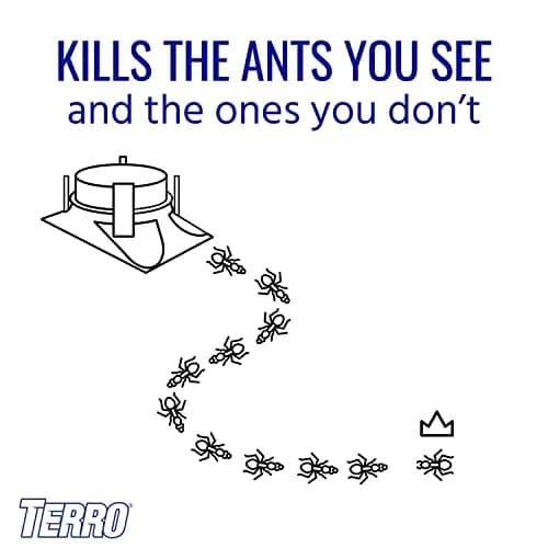 Terro Outdoor Liquid Ant Bait Stations 12-Pack | Fast Ant Colony Elimination for Outdoors & Indoors thumbnail 4