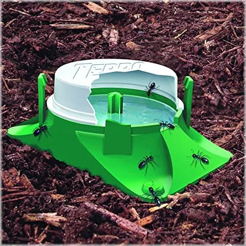 Terro Outdoor Liquid Ant Bait Stations 12-Pack | Fast Ant Colony Elimination for Outdoors & Indoors thumbnail 9