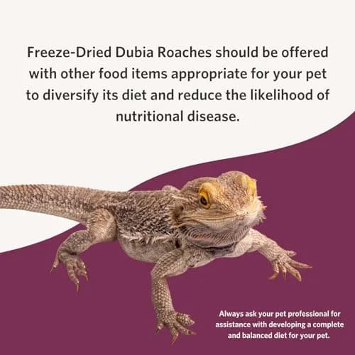 Fluker's Freeze Dried Dubia Roaches 1.7 oz (48 g) | High Protein Reptile & Amphibian Food thumbnail 5