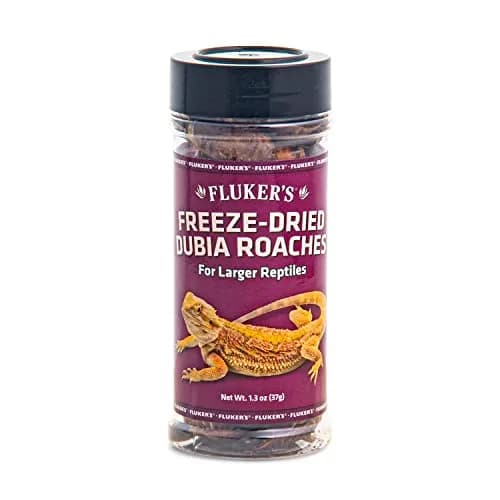 Fluker's Freeze Dried Dubia Roaches 1.7 oz (48 g) | High Protein Reptile & Amphibian Food thumbnail 1