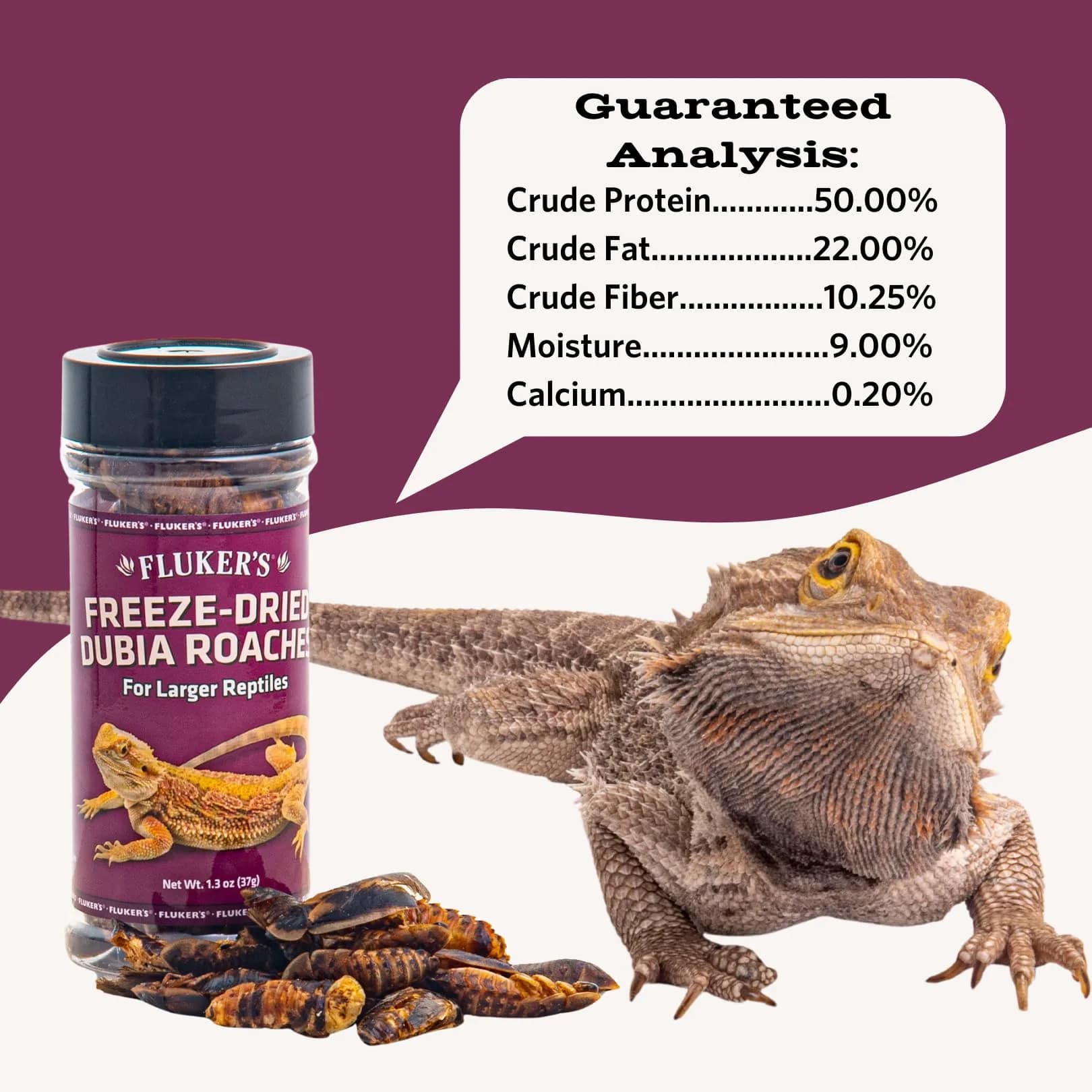 Fluker's Freeze Dried Dubia Roaches 1.7 oz (48 g) | High Protein Reptile & Amphibian Food - view 2