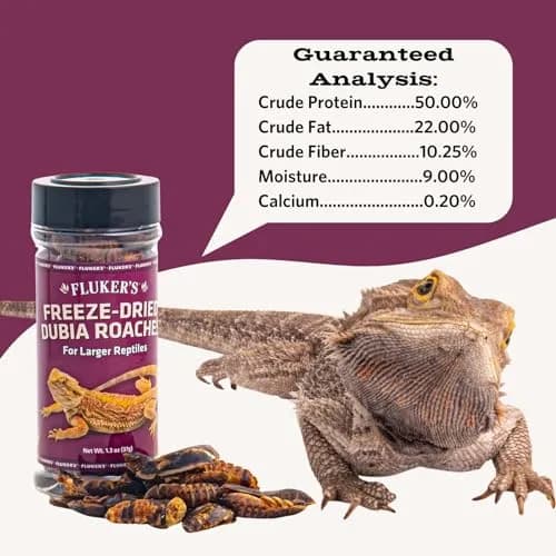 Fluker's Freeze Dried Dubia Roaches 1.7 oz (48 g) | High Protein Reptile & Amphibian Food thumbnail 2