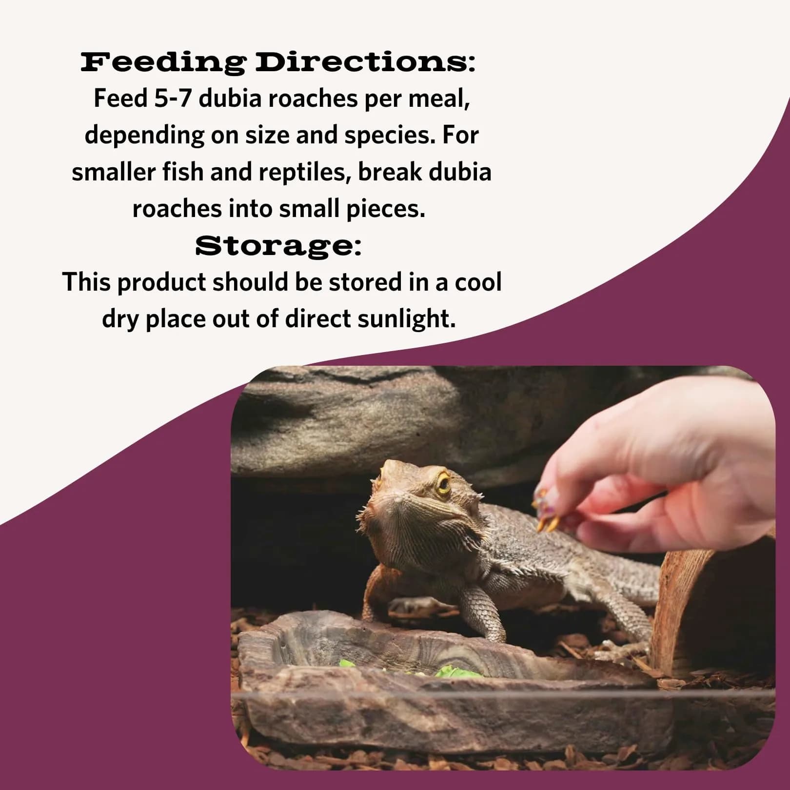 Fluker's Freeze Dried Dubia Roaches 1.7 oz (48 g) | High Protein Reptile & Amphibian Food - view 3