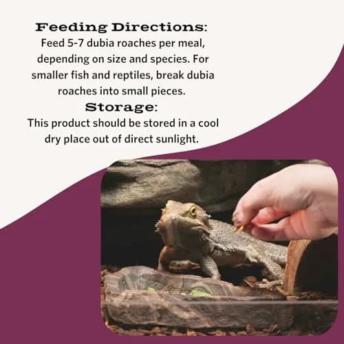 Fluker's Freeze Dried Dubia Roaches 1.7 oz (48 g) | High Protein Reptile & Amphibian Food thumbnail 3