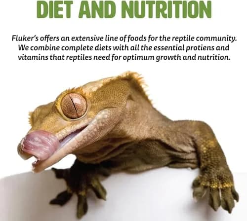 Fluker's Freeze Dried Superworms for Reptiles, Birds, Fish, Hedgehogs - 48g (1.7 oz) thumbnail 5