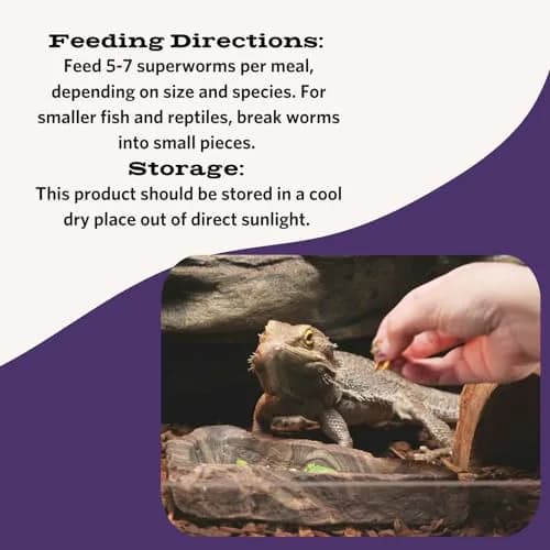 Fluker's Freeze Dried Superworms for Reptiles, Birds, Fish, Hedgehogs - 48g (1.7 oz) thumbnail 2