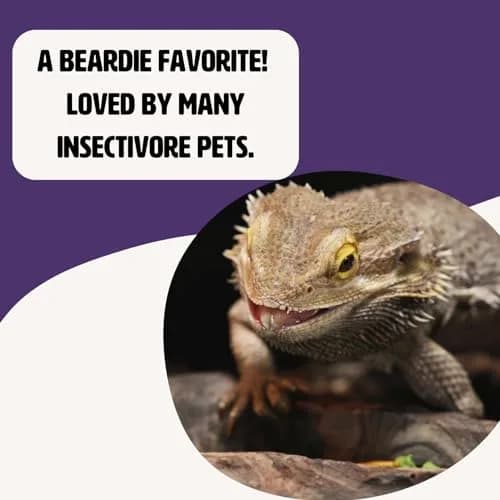 Fluker's Freeze Dried Superworms for Reptiles, Birds, Fish, Hedgehogs - 48g (1.7 oz) thumbnail 3