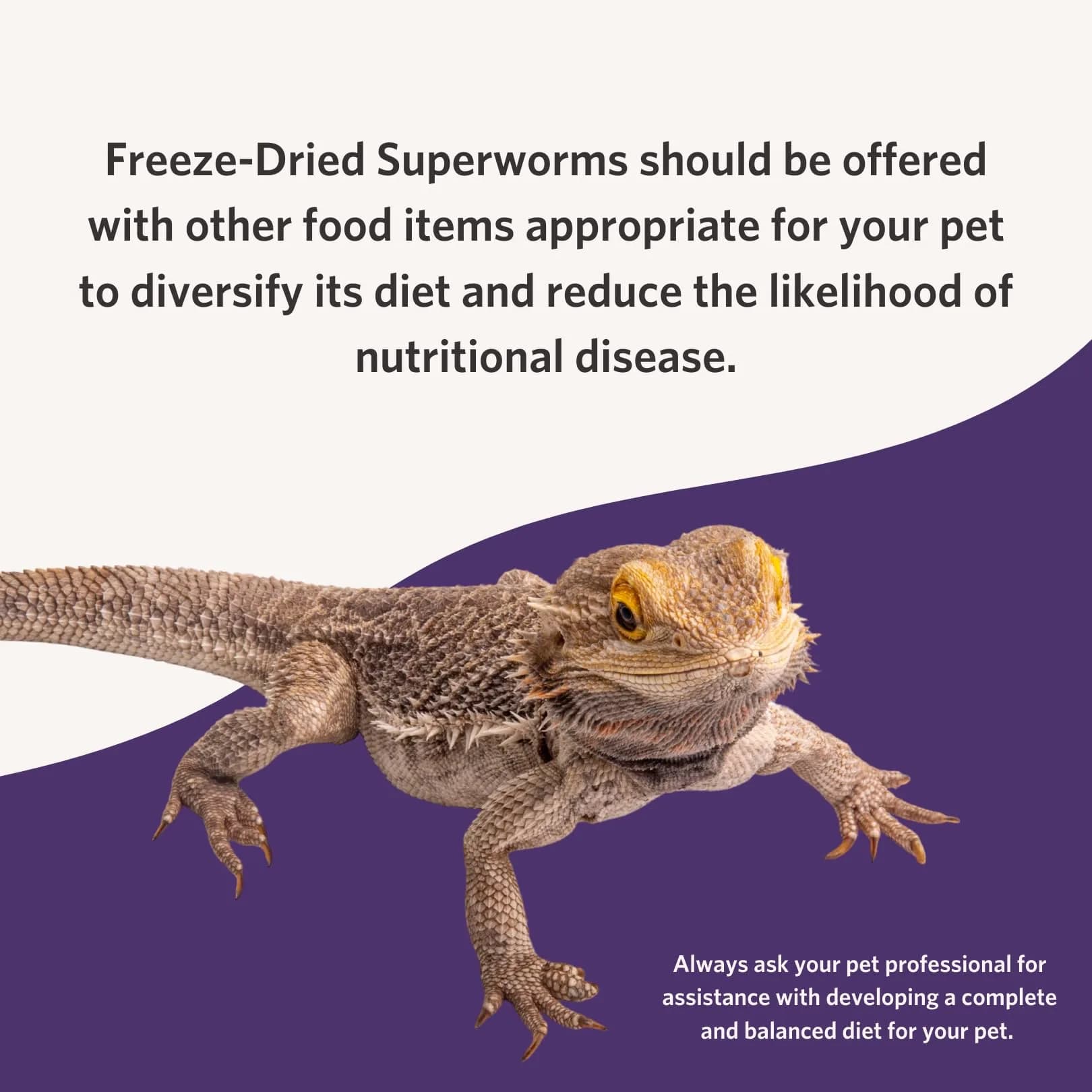 Fluker's Freeze Dried Superworms for Reptiles, Birds, Fish, Hedgehogs - 48g (1.7 oz) - view 4