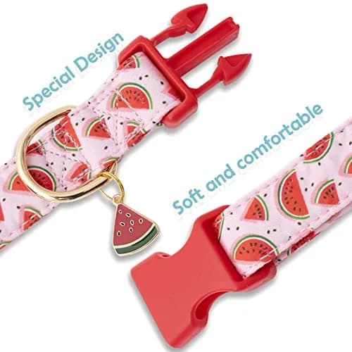 Faygarsle Pink Animal Collar for Dogs | Watermelon Design, Summer Pet Accessory, Adjustable & Durable (70-120 chars) thumbnail 5