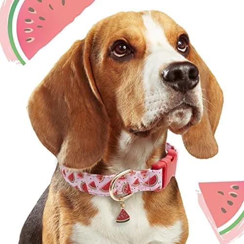 Faygarsle Pink Animal Collar for Dogs | Watermelon Design, Summer Pet Accessory, Adjustable & Durable (70-120 chars) thumbnail 6