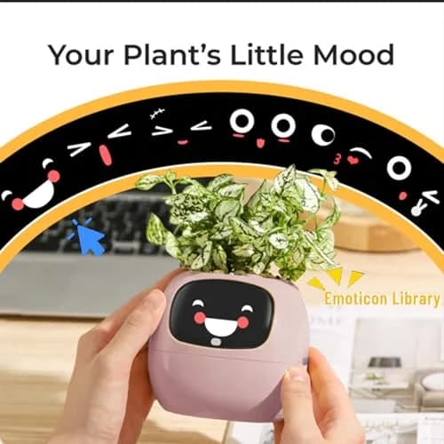 Itigoitie Smart Pet Planter Ivy with LCD Screen & Auto Watering 100ml (Pink) | Interactive AI Plant Care Companion thumbnail 4