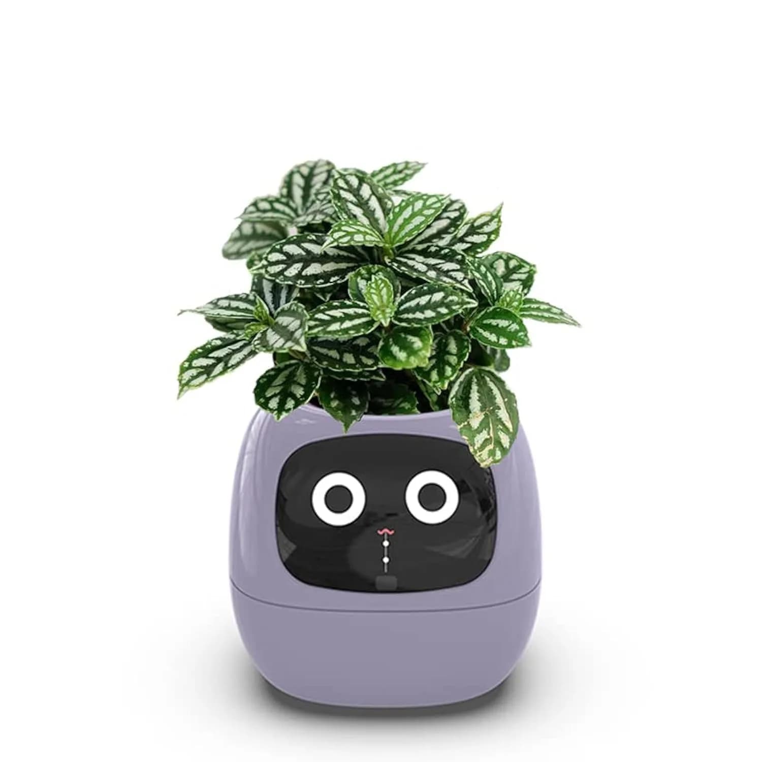 Itigoitie Smart Flowerpot 100ml (3.38 Fl Oz) | Interactive Plant Care with AI & Digital Display - main product image