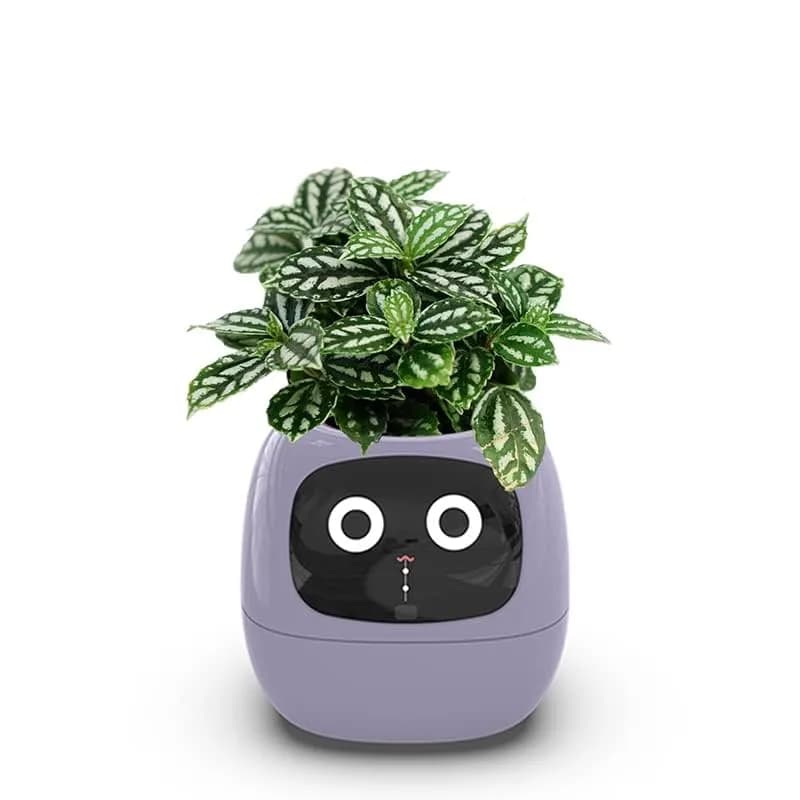 Itigoitie Smart Flowerpot 100ml (3.38 Fl Oz) | Interactive Plant Care with AI & Digital Display - view 2