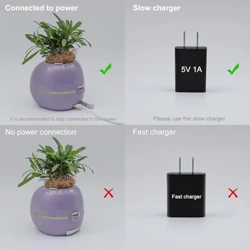 Itigoitie Smart Flowerpot 100ml (3.38 Fl Oz) | Interactive Plant Care with AI & Digital Display thumbnail 3