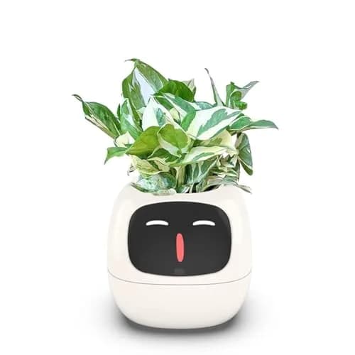 Itigoitie Smart Flowerpot 100ml (3.38 Fl Oz) | Interactive Plant Care with AI & Digital Display — White