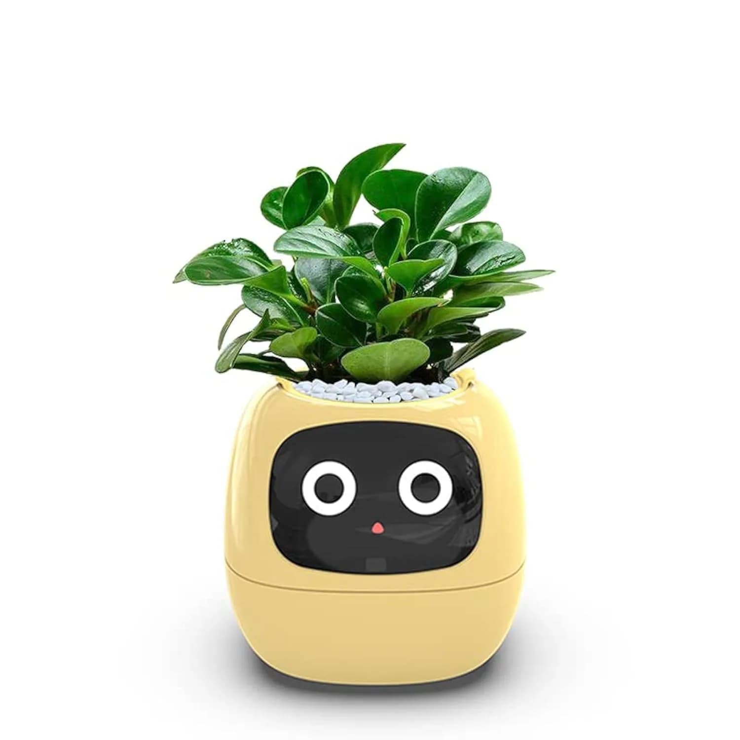 Itigoitie Smart Flowerpot 100ml (3.38 Fl Oz) | Interactive Plant Care with AI & Digital Display — Yellow