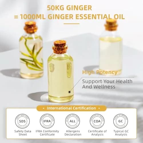 HIQILI Ginger Essential Oil 1000ml (32 Fl Oz) | Steam Distilled for Hair, Massage & Skin thumbnail 6