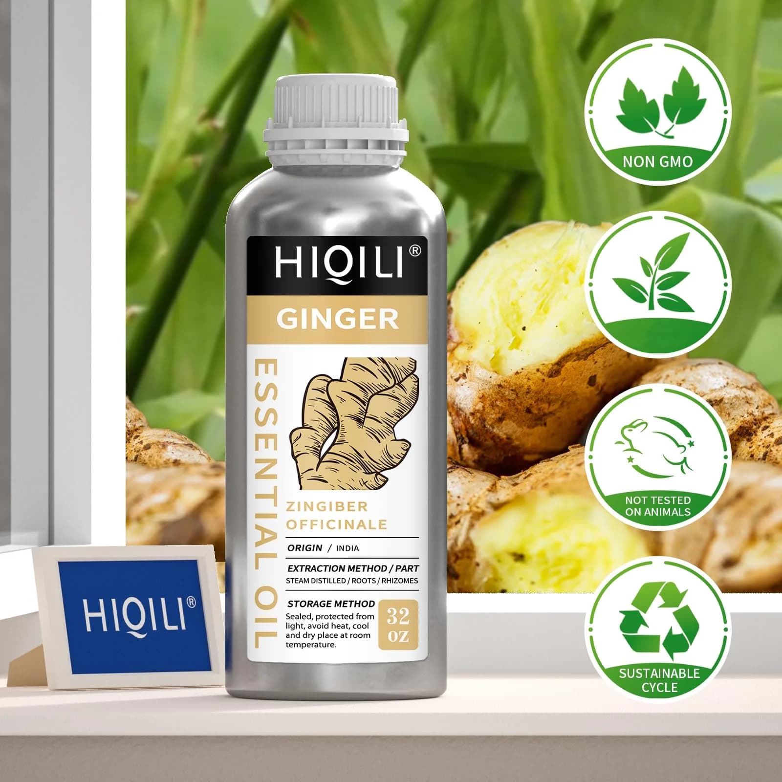 HIQILI Ginger Essential Oil 1000ml (32 Fl Oz) | Steam Distilled for Hair, Massage & Skin - view 7