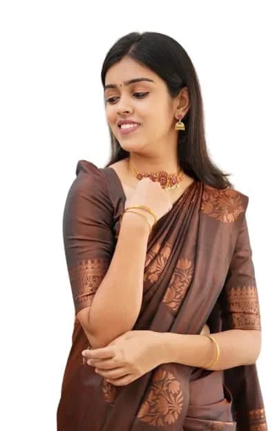 Yashika Banarasi Cotton Silk Jacquard Saree with Blouse, Brown, 5.5m (18 ft) Saree + 0.8m (2.6 ft) Blouse thumbnail 3
