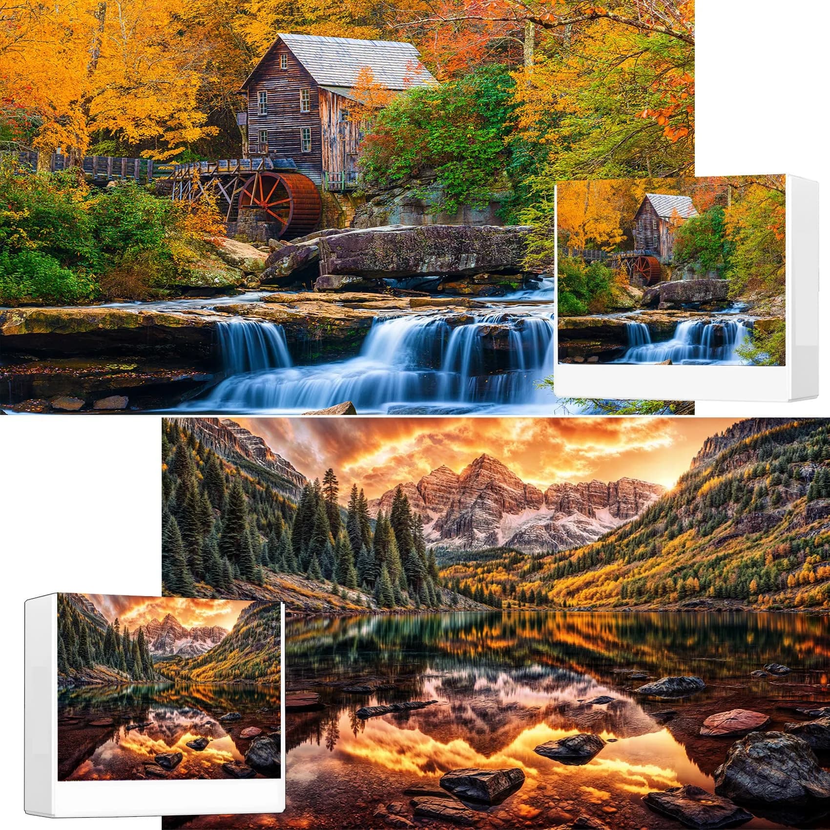 RECHIATO Cats Library Jigsaw Puzzle 1000+ Pieces | Funny Kitten Bookshelf Puzzle for Animal Lovers — 2-Pack