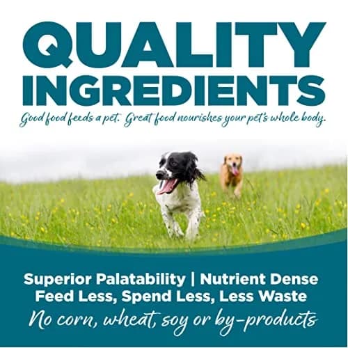 NutriSource Adult Chicken & Rice Dog Food, 26 lb | Supports Digestion & Long Life thumbnail 3