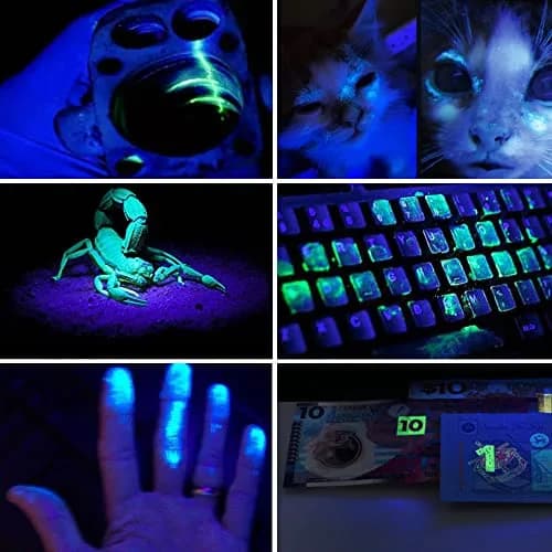 LBJD 365NM UV Black Light Flashlite 8.6'' 11.4'' | High Power UV Blacklight for Pet Urine Detection thumbnail 7