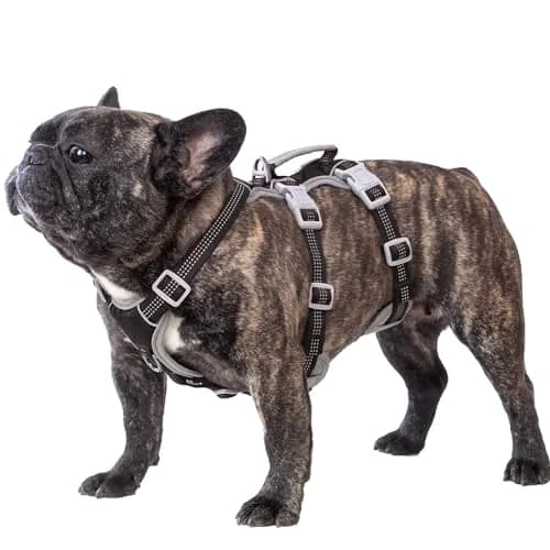 Huntboo Escape Proof Dog Harness, Reflective, Adjustable, Breathable, Padded Handle (Black, M) thumbnail 1