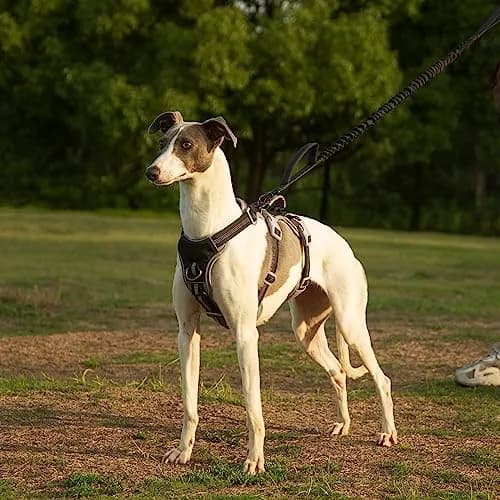 Huntboo Escape Proof Dog Harness, Reflective, Adjustable, Breathable, Padded Handle (Black, M) thumbnail 6