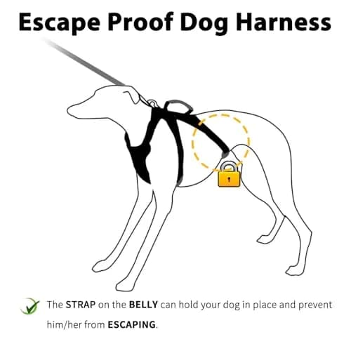 Huntboo Escape Proof Dog Harness, Reflective, Adjustable, Breathable, Padded Handle (Black, M) thumbnail 2