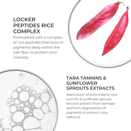 PHYTO Color Radiance Conditioner for Color-Treated Hair | Vegan, Sulfate-Free, Silicone-Free | Made in France (70-120c) thumbnail 3