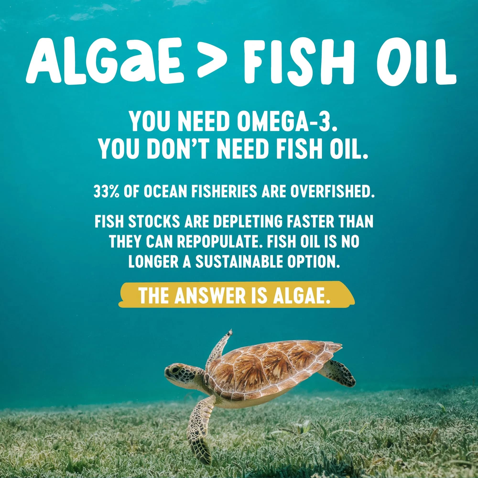 Freshfield Omega 3 DHA Supplements Algae Oil Softgels 60 Count (180g) | Brain & Heart Health Support - view 5