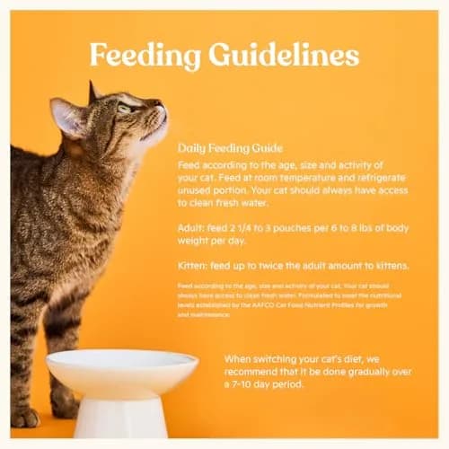 Made by Nacho Wet Cat Food, Cuts in Gravy, 36 Ounce | Limited Ingredients, Cage-Free Chicken & Bone Broth thumbnail 5