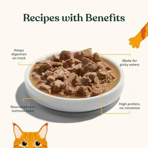 Made by Nacho Wet Cat Food, Cuts in Gravy, 36 Ounce | Limited Ingredients, Cage-Free Chicken & Bone Broth thumbnail 2