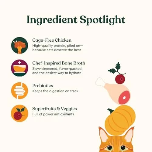 Made by Nacho Wet Cat Food, Cuts in Gravy, 36 Ounce | Limited Ingredients, Cage-Free Chicken & Bone Broth thumbnail 3