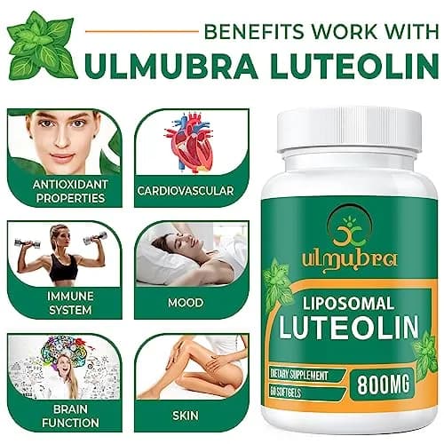 Ulmubra Liposomal Luteolin 800MG | Premium Antioxidant for Brain & Well-Being thumbnail 4